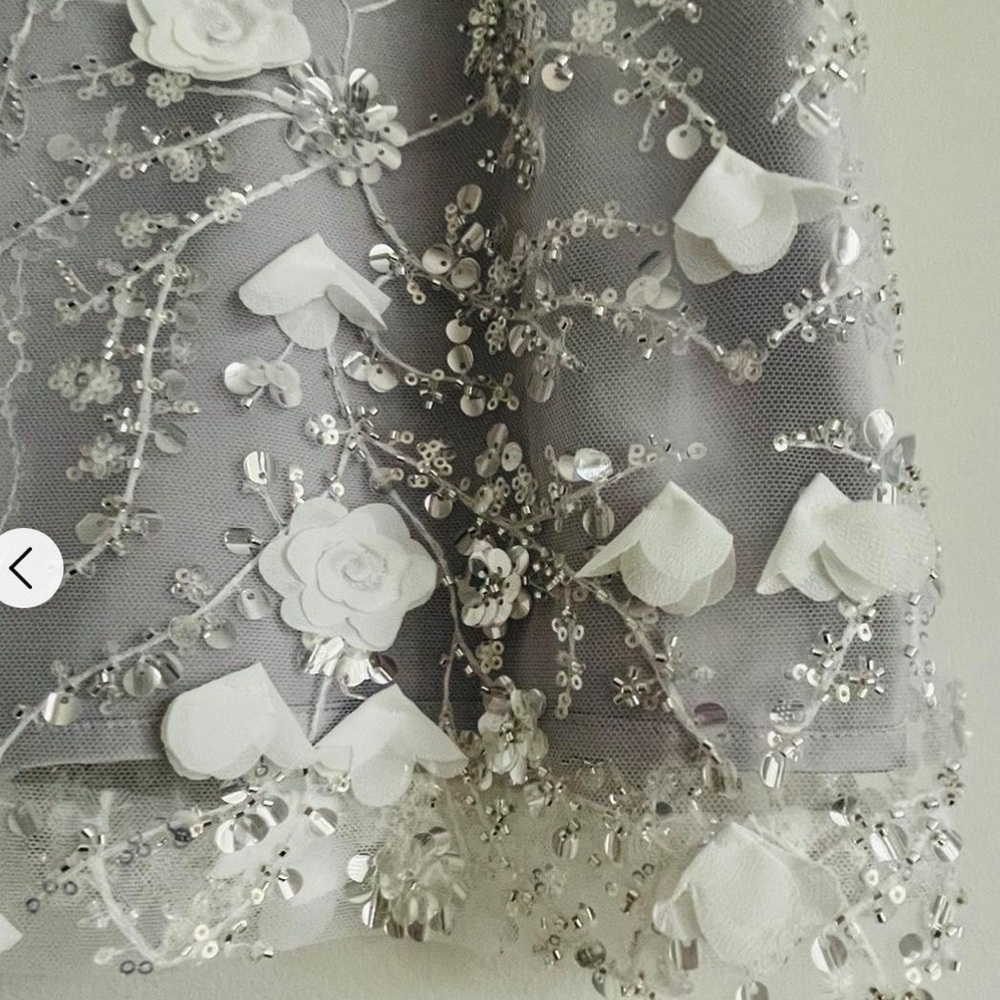 Sold*****Zara sequined and beaded mini - Picture 3 of 3